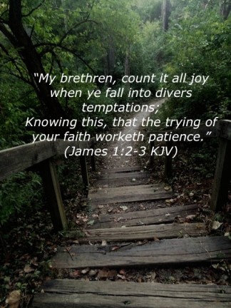 saki the penance essaytyper